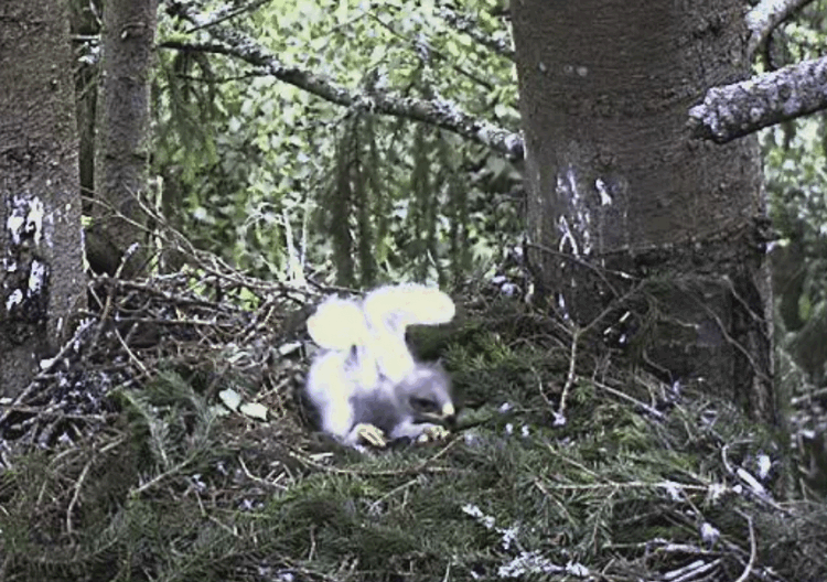 2009-06-13_102322.gif