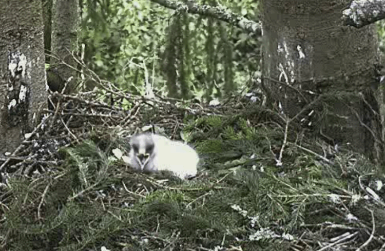 2009-06-13_102453.gif