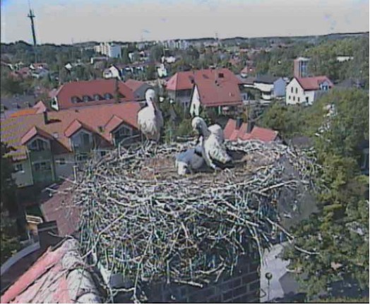 markt schwaben1.jpg