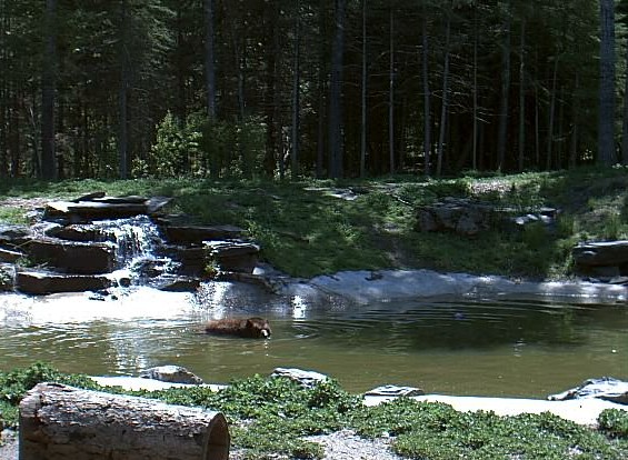2009-06-13_180003.jpg