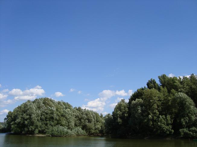 A Duna Gerjennél.JPG