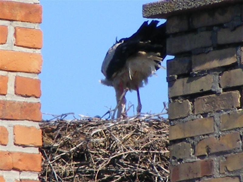 DSCF5937 (Medium).JPG