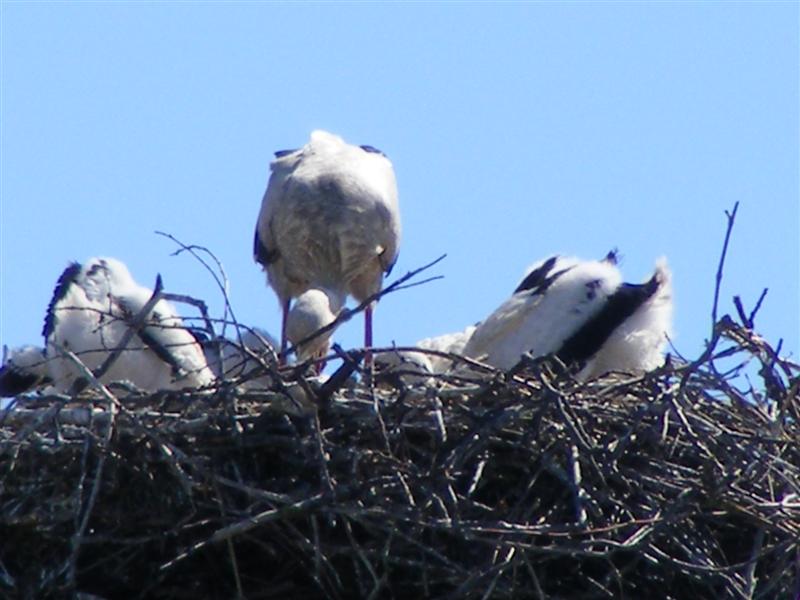DSCF5904 (Medium).JPG
