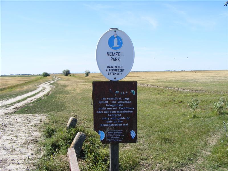 DSCF5918 (Medium).JPG