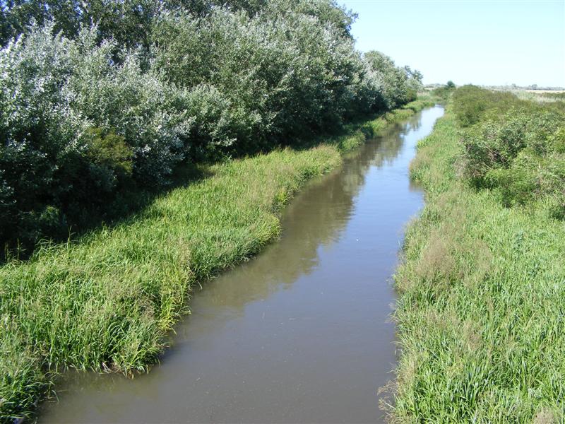 DSCF5917 (Medium).JPG