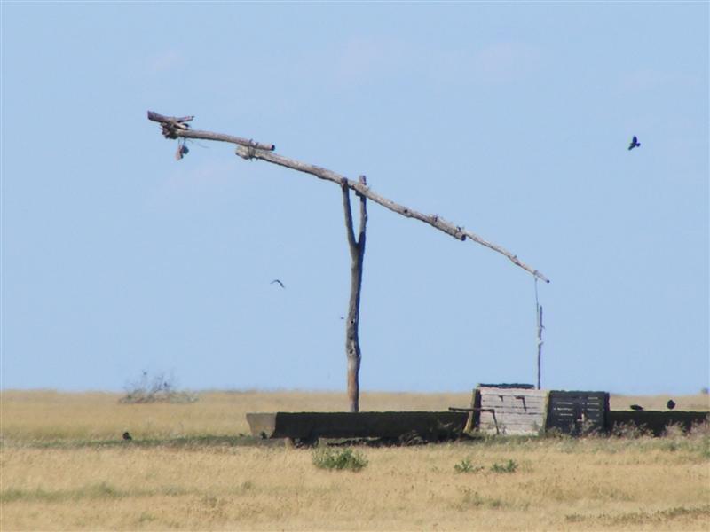 DSCF5922 (Medium).JPG