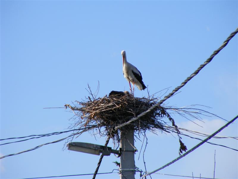 DSCF5800 (Medium).JPG
