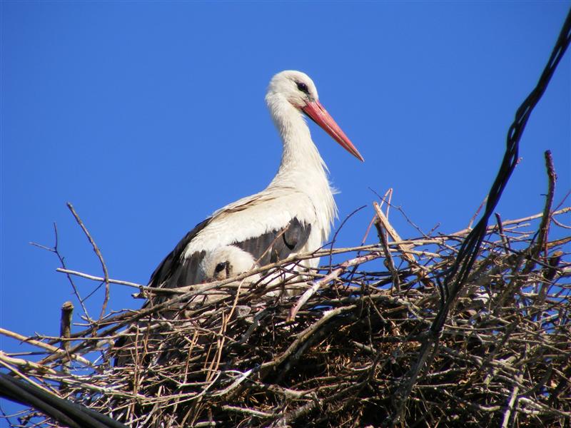 DSCF5805 (Medium).JPG