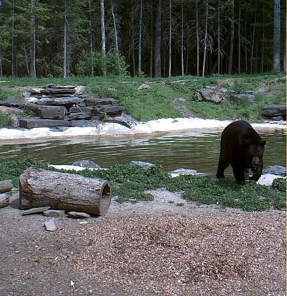 2009-06-15_222748.jpg