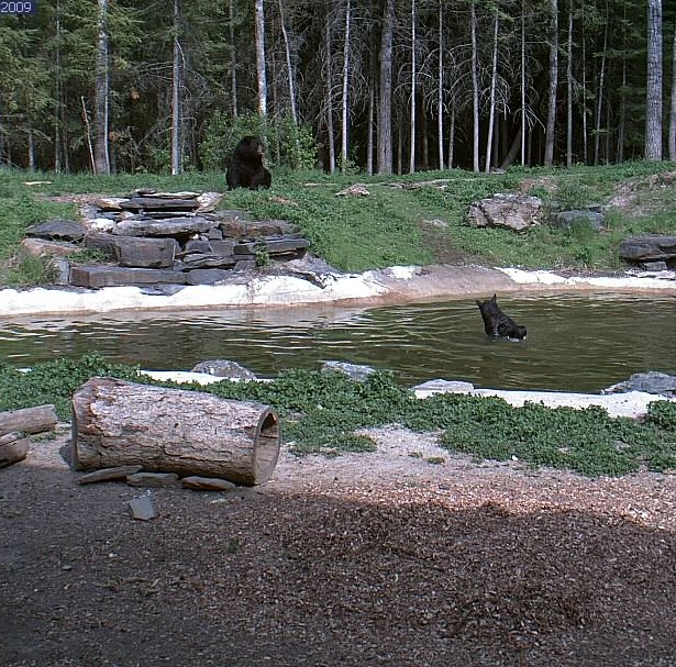 2009-06-15_235151.jpg