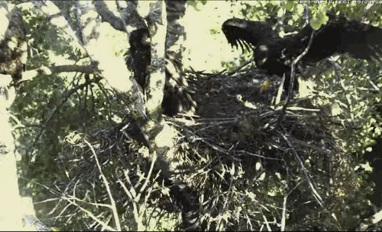 2009-06-16_184252.gif