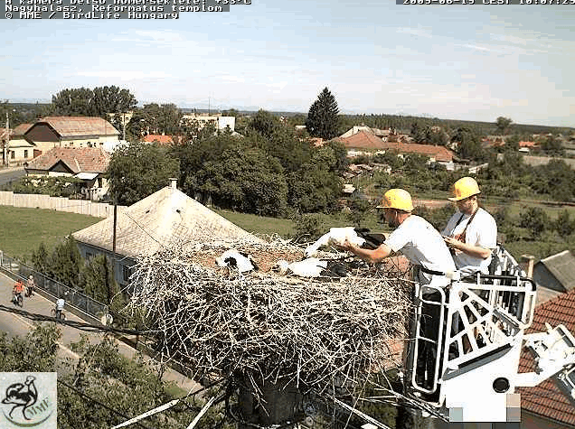 Egolya22051.gif