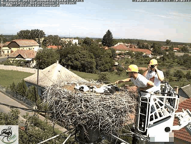 Egolya22091.gif