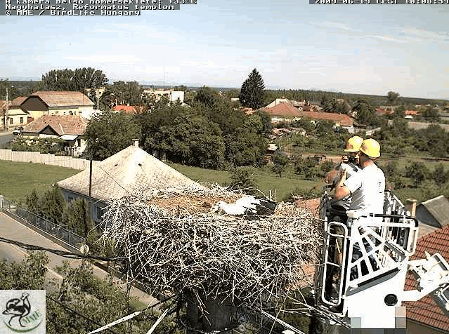 Egolya22131.gif