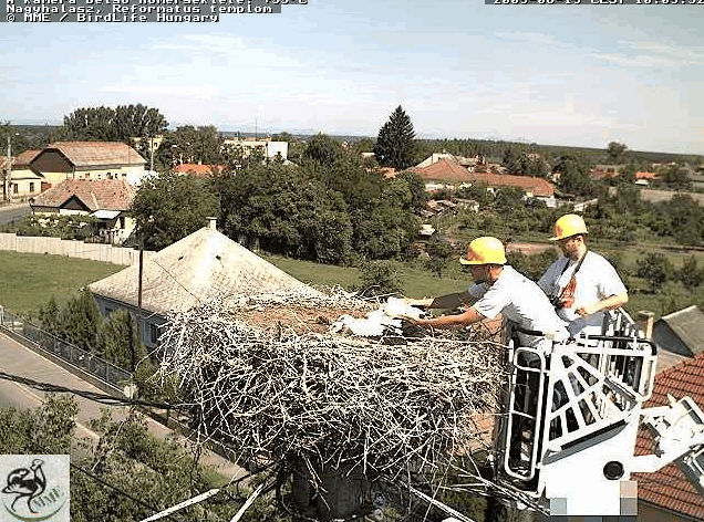 Egolya22151.gif