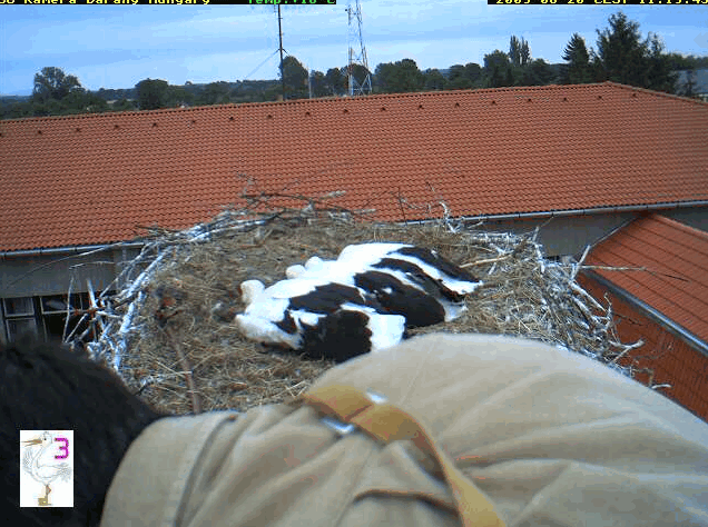 2009-06-20_111849.gif
