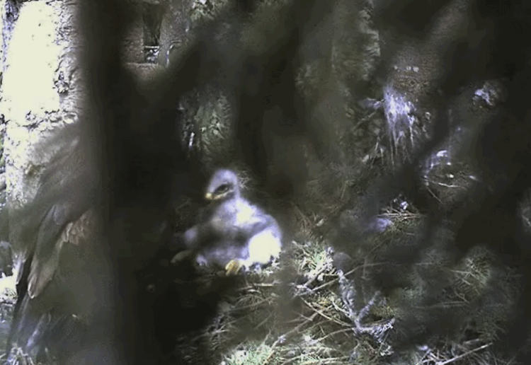 2009-06-21_124556.gif