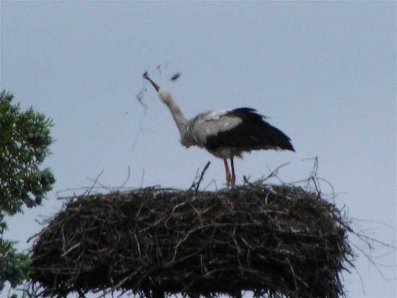 DSCF6140 (Medium).JPG