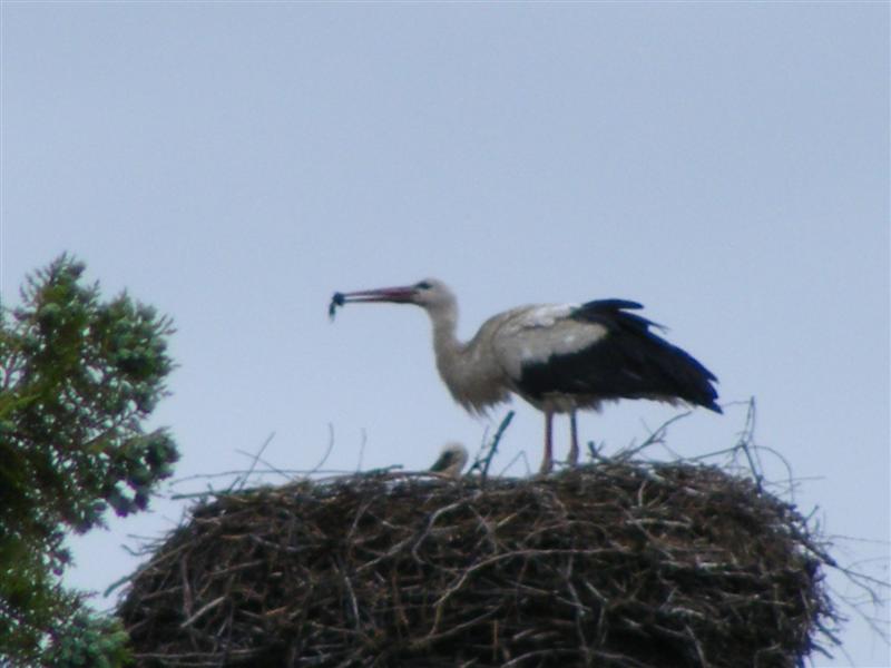 DSCF6159 (Medium).JPG
