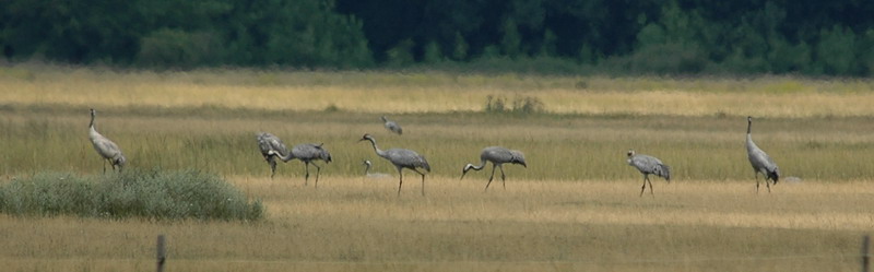 2009.06.17 119.jpg