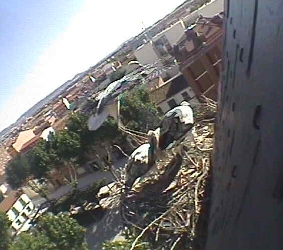 2009-06-24_183338.jpg