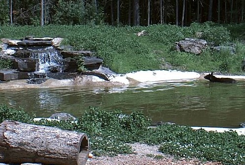 2009-06-24_214915.jpg
