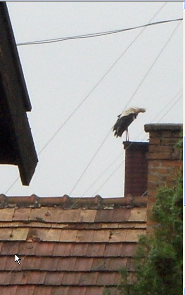 2009-06-25_182147.jpg