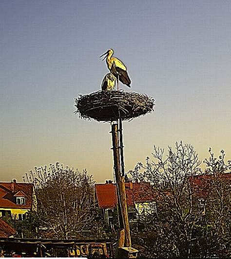 Mindenféle06597.jpg