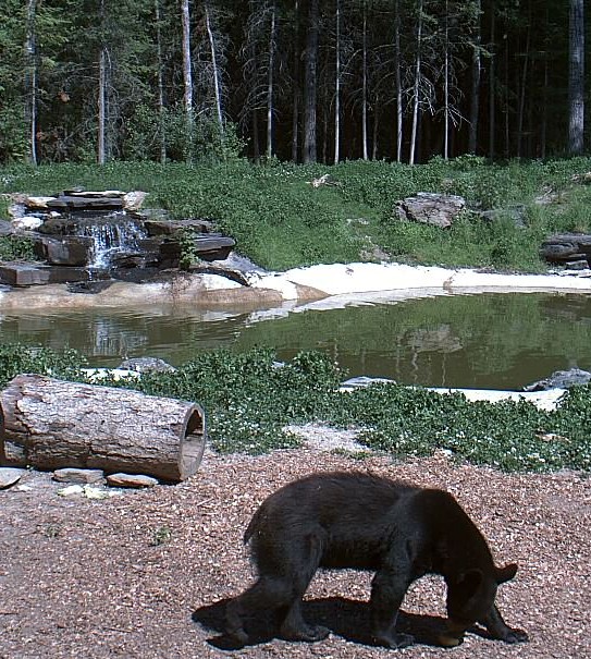 2009-06-26_223906.jpg