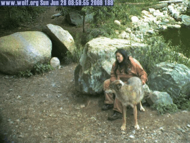 2009-06-28_155905.gif