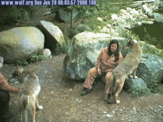 2009-06-28_160303.gif