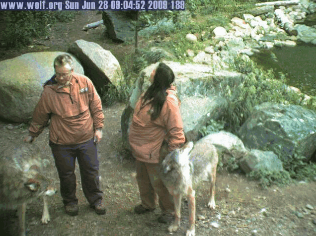 2009-06-28_160400.gif