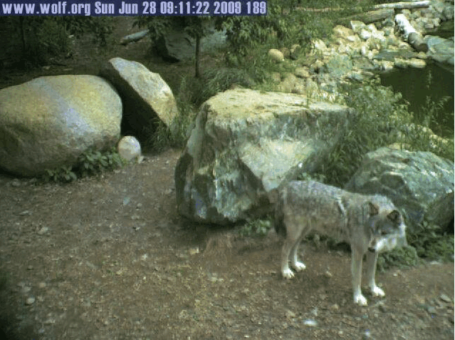 2009-06-28_161023.gif