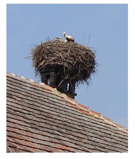 Ifjuság.JPG
