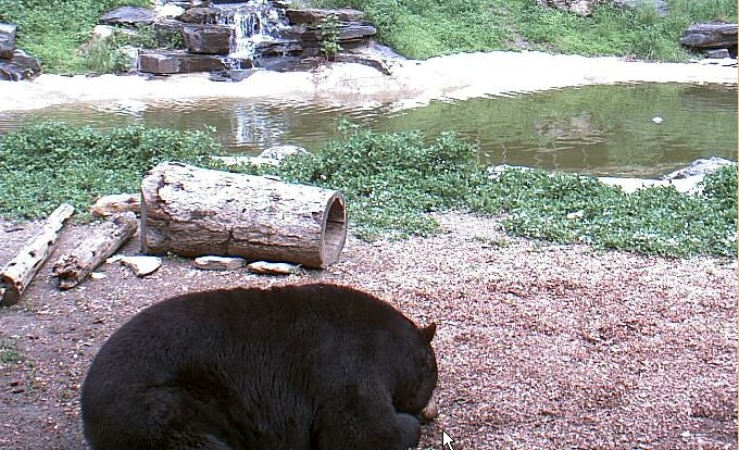 2009-06-29_220347.jpg
