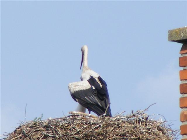 DSCF6389 (Small).JPG