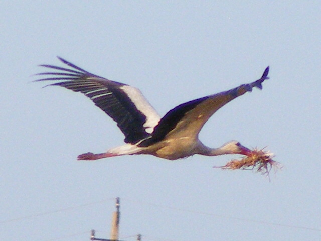 DSCF6371.JPG