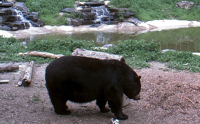 2009-07-03_013217.jpg