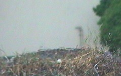 2009-07-06_203750.jpg