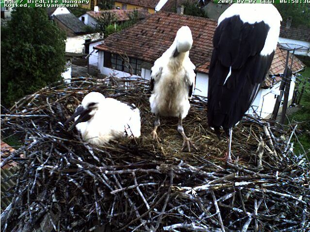 2009-07-07_065547.jpg