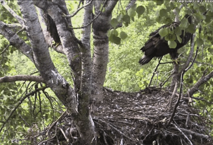 2009-07-07_070255.gif