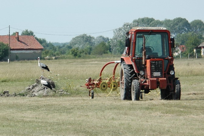 DSC_1283.jpg