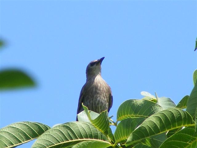 DSCF6536 (Small).JPG