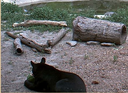 2009-07-09_211947.jpg