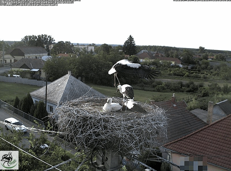 2009-07-11_183437.gif