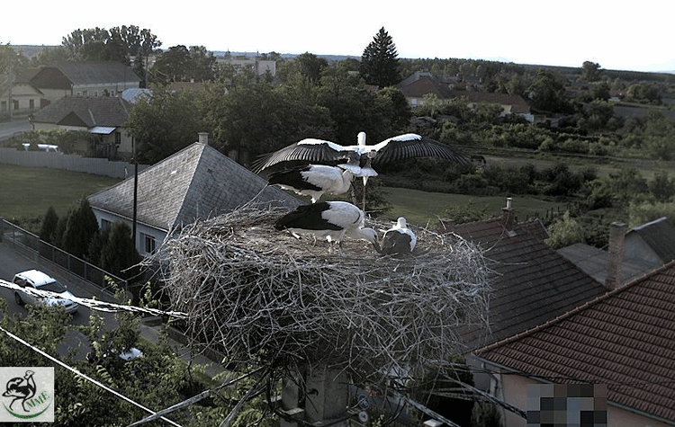 2009-07-11_185628.gif