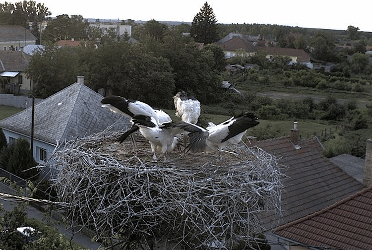 2009-07-11_195301.gif