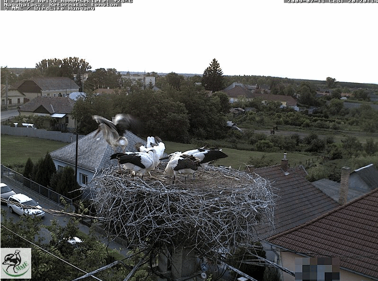 2009-07-11_202039.gif