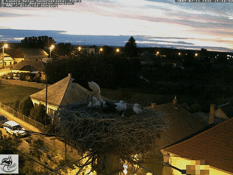2009-07-11_211718.gif