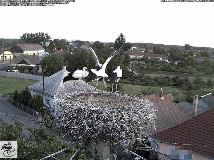 2009-07-12_055838.gif
